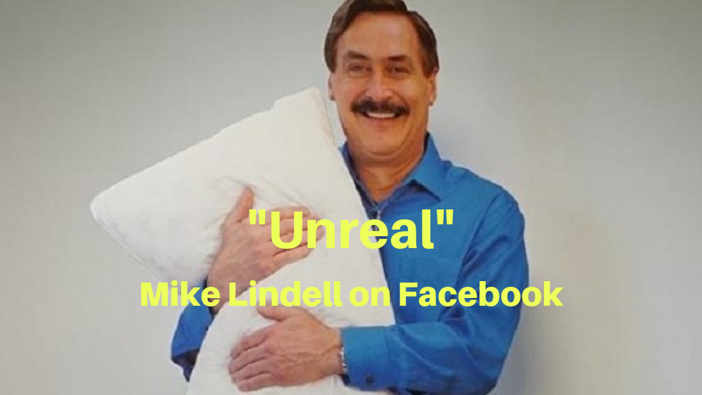 Mike Lindell article